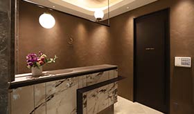 圣心美容诊所 银座院